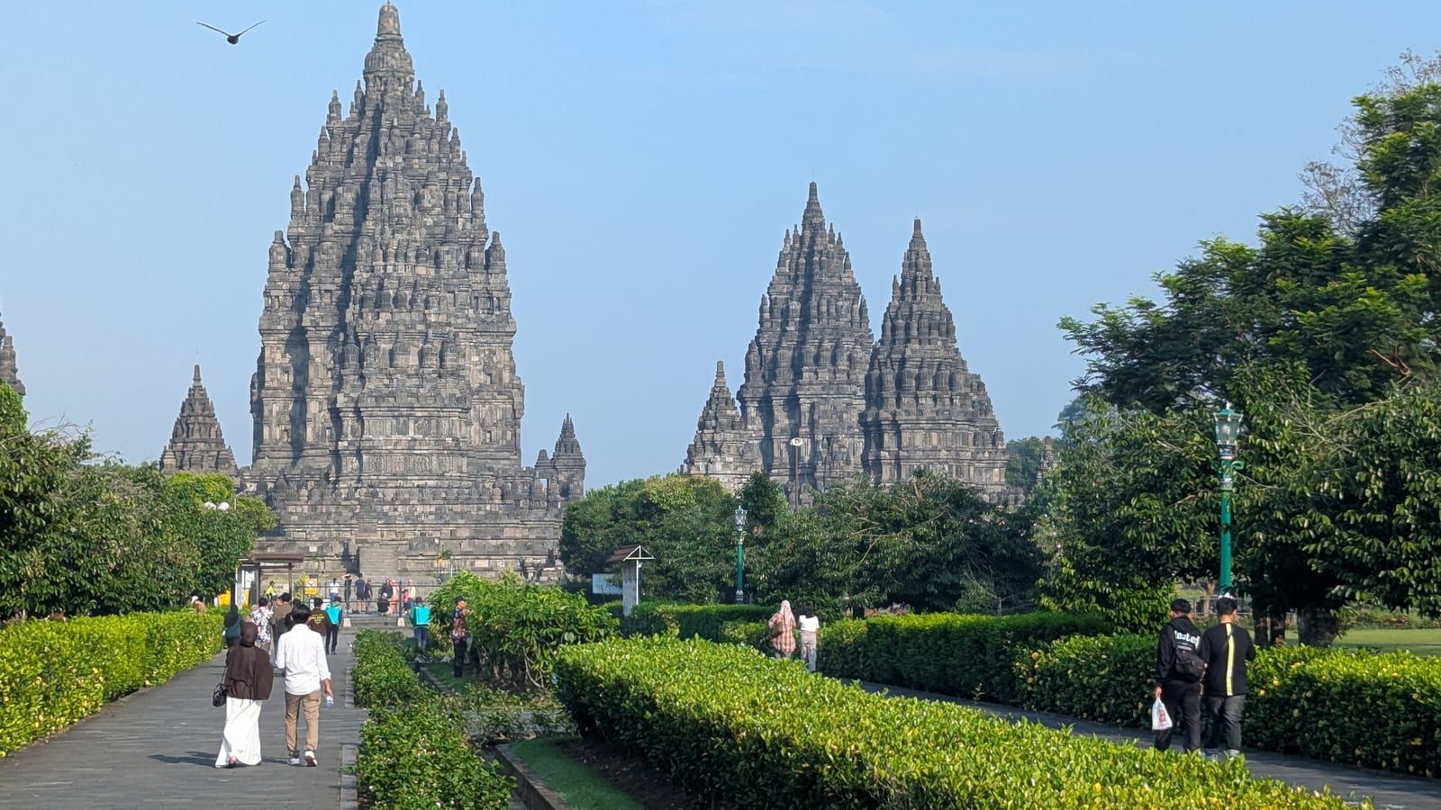 Wide view of Prambanan temple complex with a bird flying past the spires